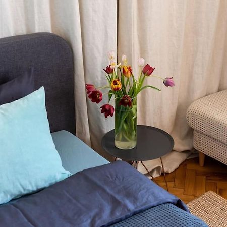 No.8: Lovely & Cosy 3-Room Heart Of The City Temešvár Exteriér fotografie