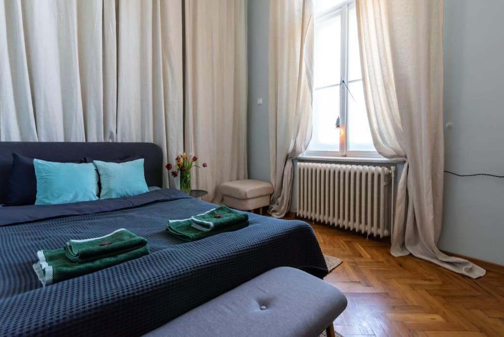 No.8: Lovely & Cosy 3-Room Heart Of The City Temešvár Exteriér fotografie