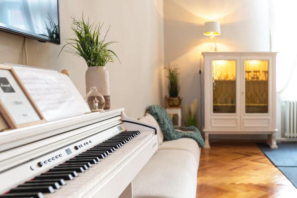 No.8: Lovely & Cosy 3-Room Heart Of The City Temešvár Exteriér fotografie