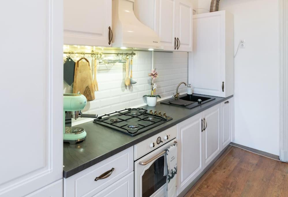 No.8: Lovely & Cosy 3-Room Heart Of The City Temešvár Exteriér fotografie