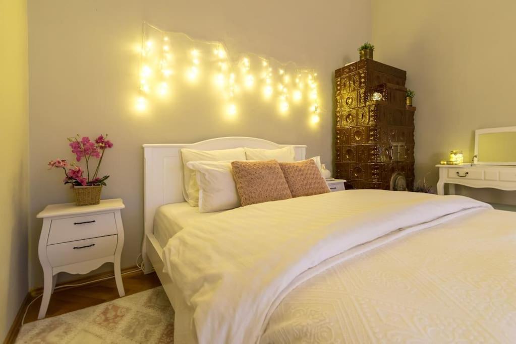 No.8: Lovely & Cosy 3-Room Heart Of The City Temešvár Exteriér fotografie
