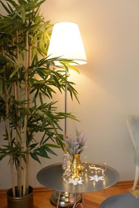 No.8: Lovely & Cosy 3-Room Heart Of The City Temešvár Exteriér fotografie